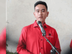 Riwayat Pendidikan Gibran Rakabuming: Lulusan Singapura dan Australia – Waspada Online