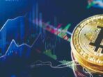 Harga Kripto pada 3 November 2023: Bitcoin Mengalami Koreksi