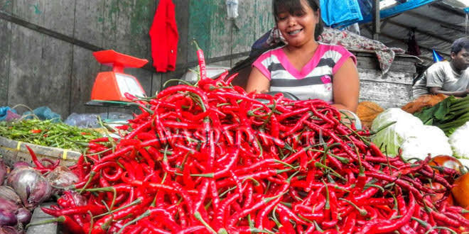 Petani Kesulitan Akibat Harga Cabai Mahal Di Tengah Polemik