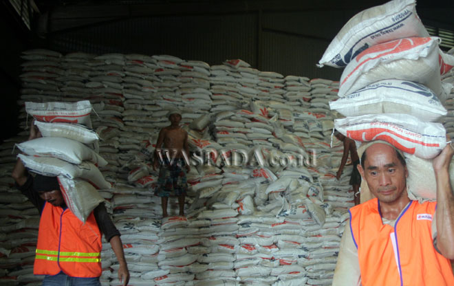 Bulog berhasil menyerap 28.882 ton beras petani sepanjang tahun 2023