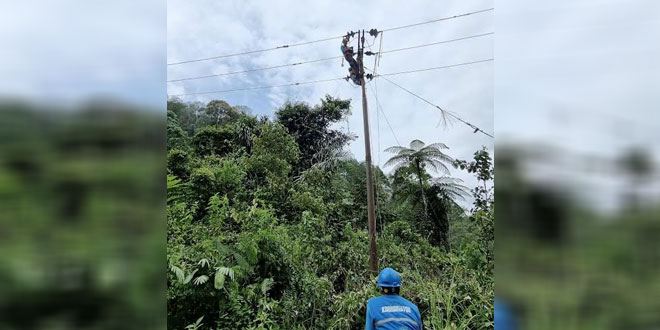 PLN berhasil memulihkan pasokan listrik di Mandailing Natal setelah terjadi tanah longsor