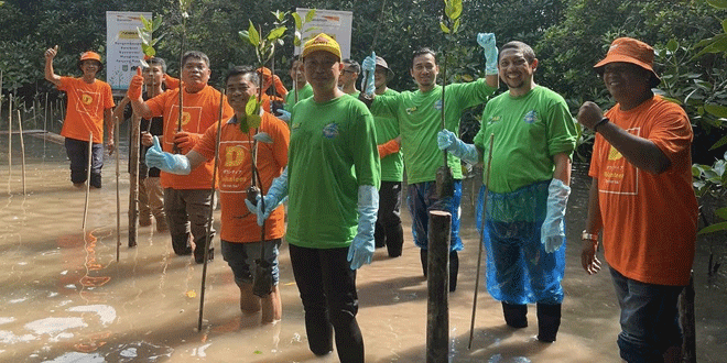 Pelestarian Lingkungan Melalui Pengembangan Kawasan Mangrove di Tanjung Piayu