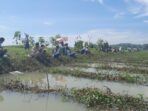 Rokhmat Ardiyan, Caleg DPR RI Dapil Jabar X, Berprestasi dalam Menarik Perhatian melalui Mancing Mania di Pangandaran