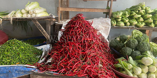 Harga Cabai Merah di Medan Naik Rp100 Ribu per Kg – Waspada Online