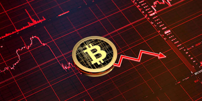 Bitcoin dan Cryptocurrency Lainnya Mengalami Lonjakan Harga – Waspada Online