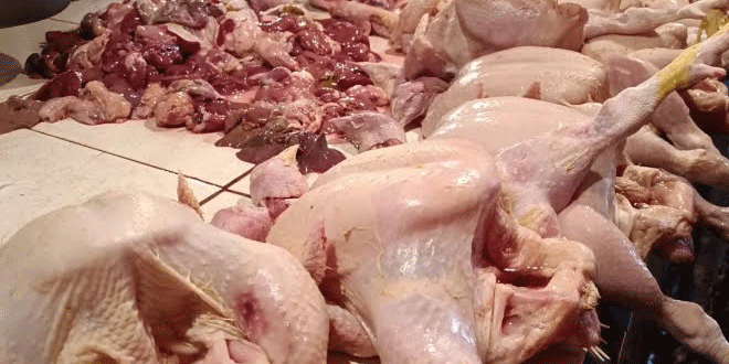 Harga Ayam Berpotensi Naik di Bulan Agustus – Peringatan Online