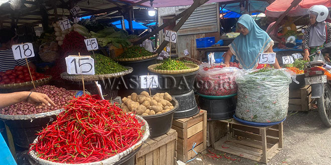 Harga Cabai Menurun Setelah PON, Petani Semakin Terpuruk – Berita Waspada Online