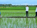 Aktivis Papua Mendorong Terhentinya Proyek Pembangunan Satu Juta Hektar Sawah di Merauke